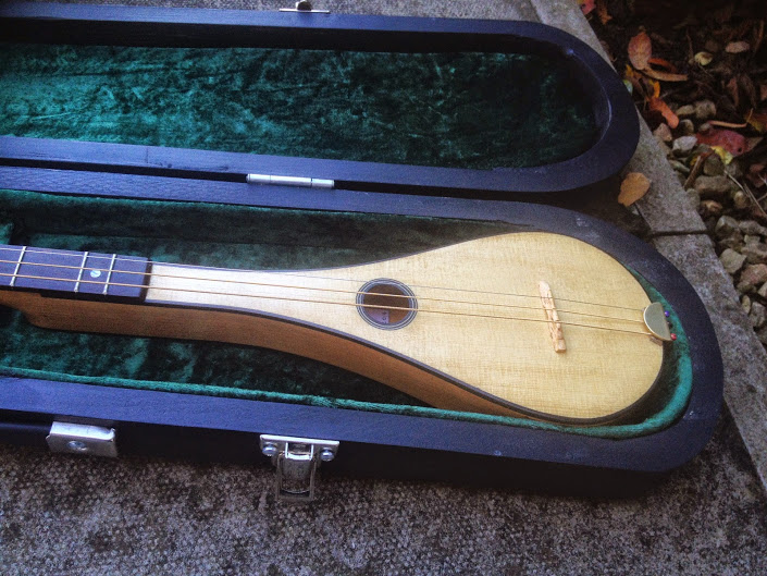 custom instrument in case