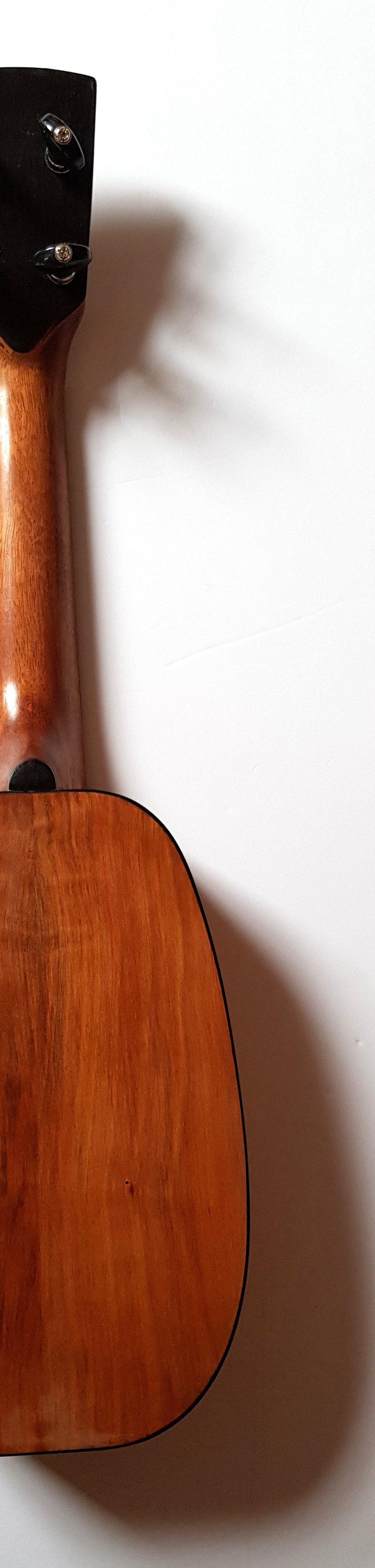 back of pineapple ukulele