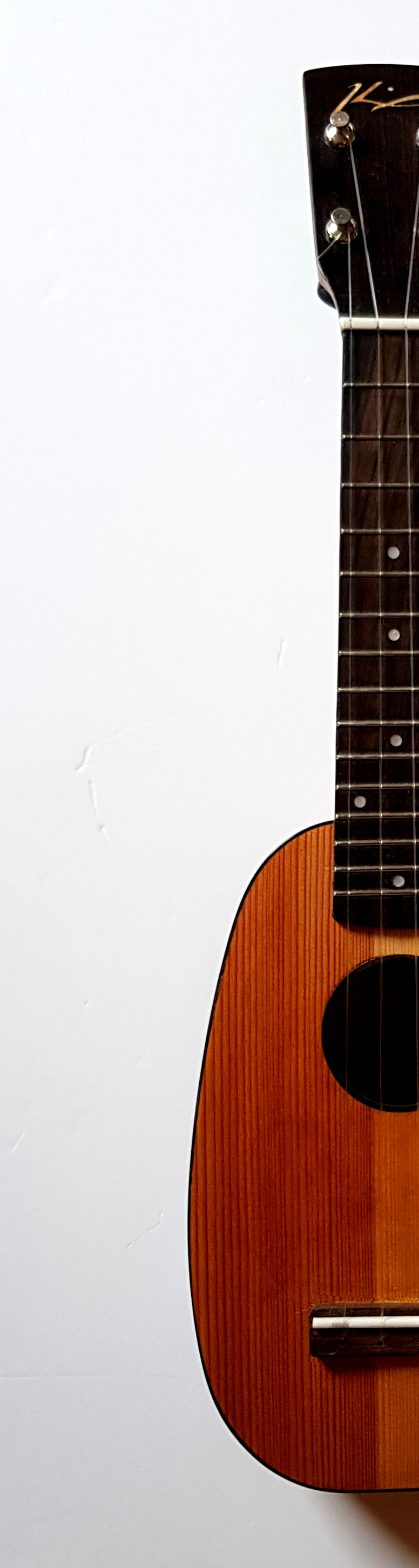 apple and pine pinapple ukulele