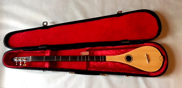 stick dulcimer in its case,  2017/2018 model