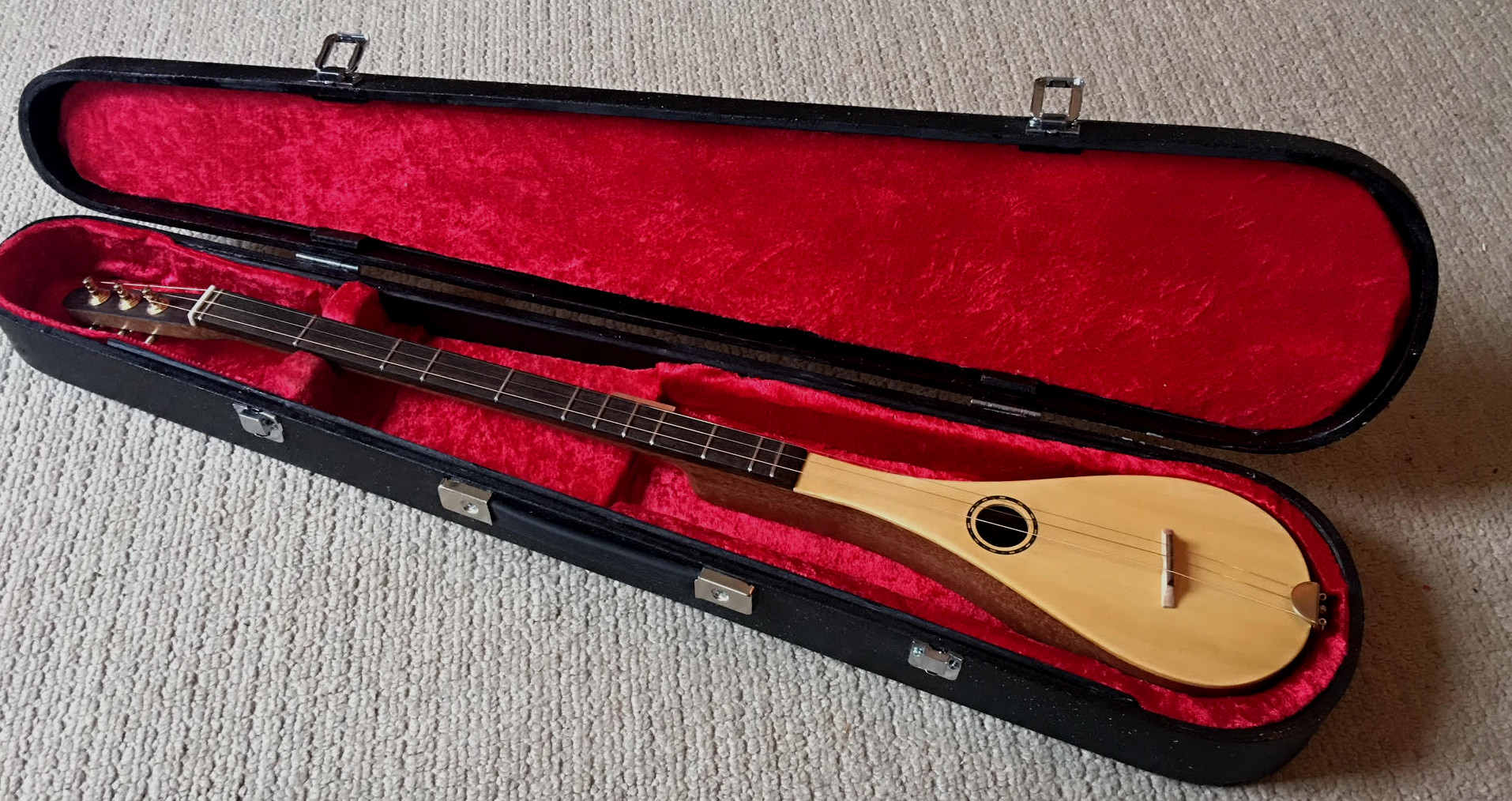 stick dulcimer in case