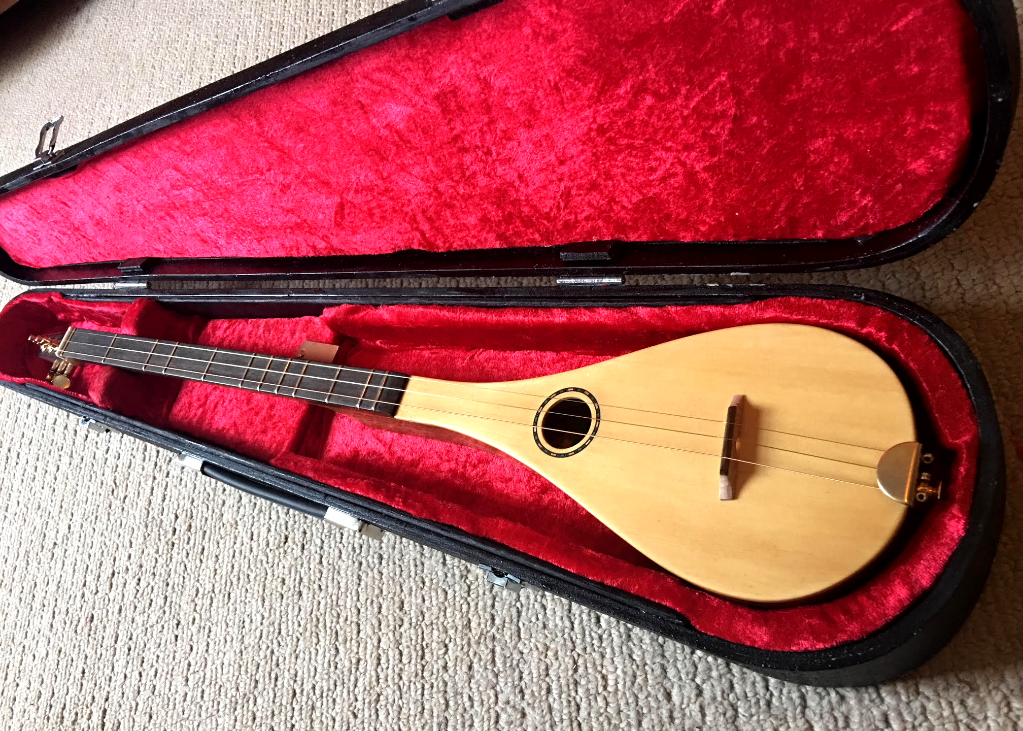case dulcimer