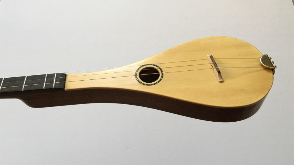 stick Dulcimer 