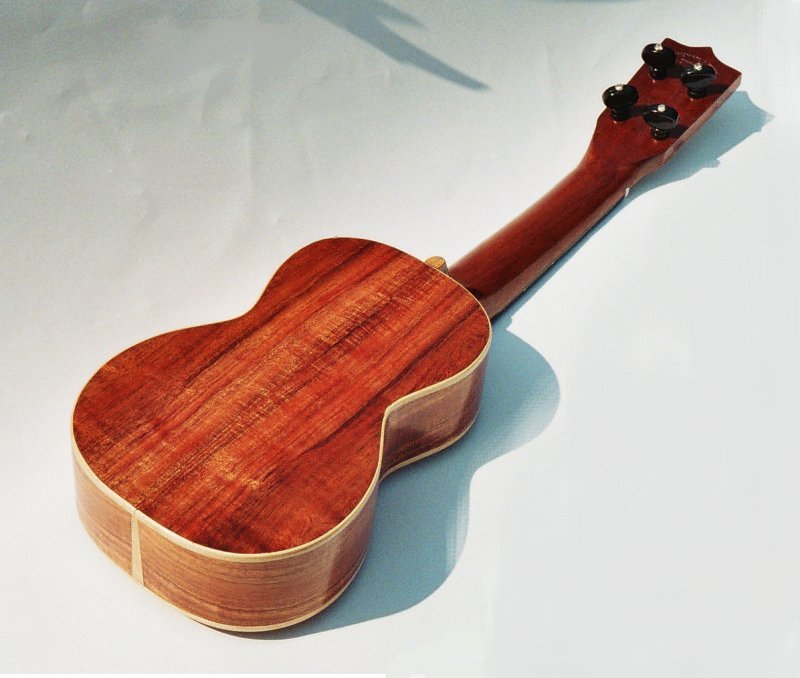 koa