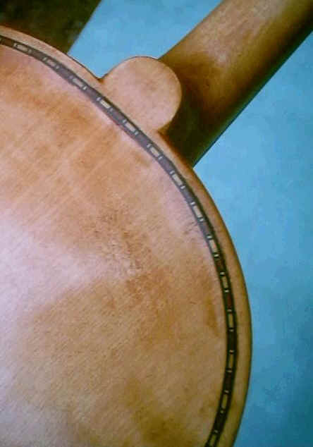back of latfiol